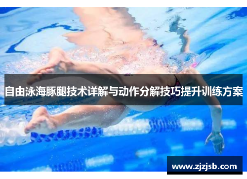 自由泳海豚腿技术详解与动作分解技巧提升训练方案