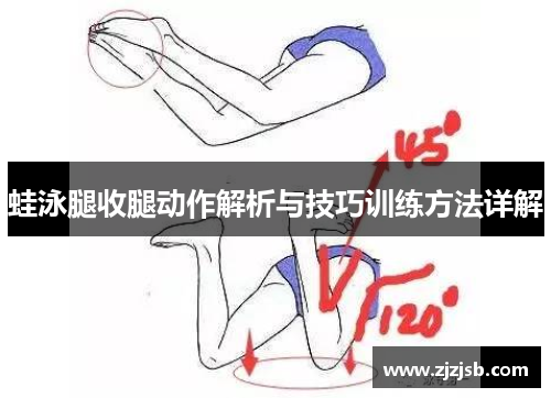 蛙泳腿收腿动作解析与技巧训练方法详解